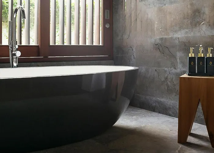 Indrani Чангу